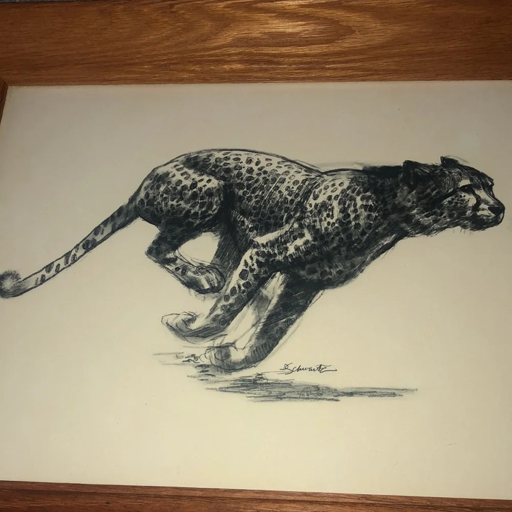 Vintage Art Etchings Drawing Cheetah Framed D.‎  Schwartz